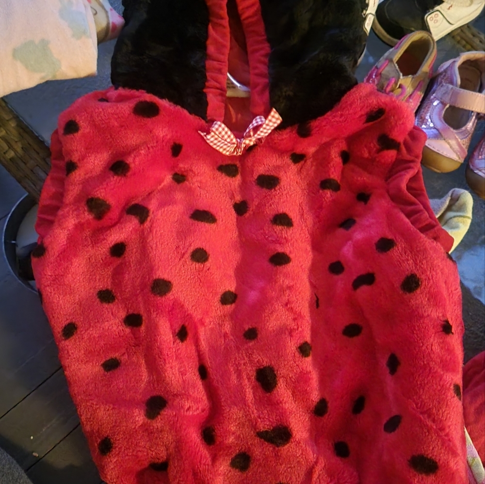 Lady bug costume
